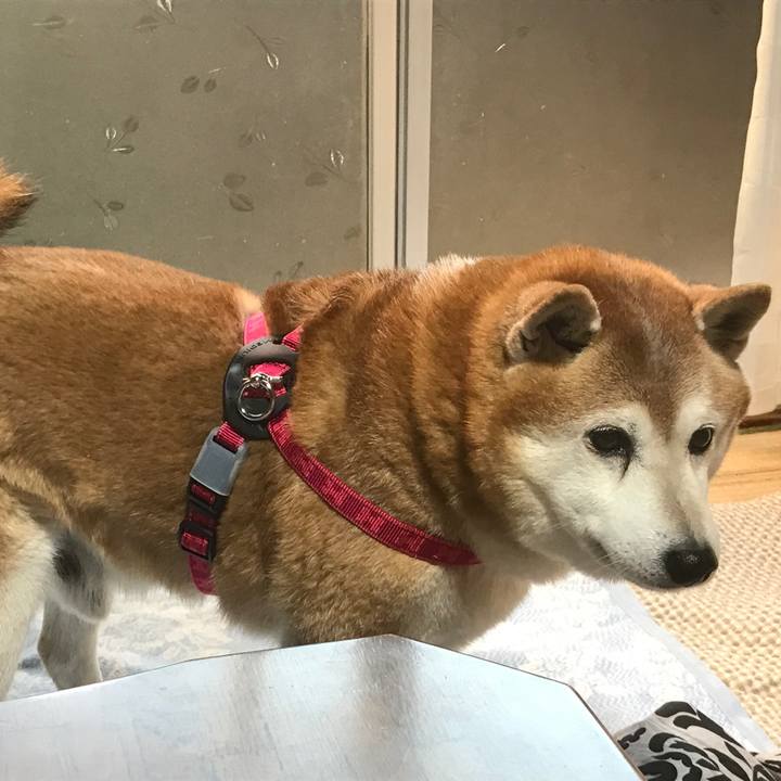 61fd5a60 fdd6 4a3f 964f 21e0a366a7fd