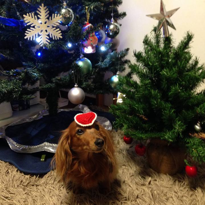 61fdf0e5 282d 4d22 99b7 893f5e1d8cd5