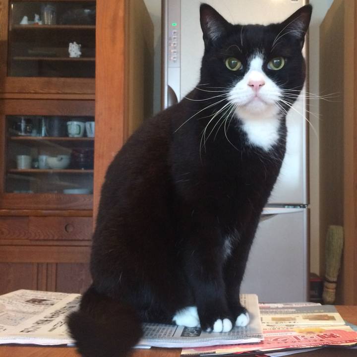 61fe2404 550d 49bc a387 99bc4ea87753