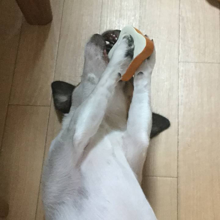 61fe8df4 bef7 49b1 8e79 0b27070b2d05