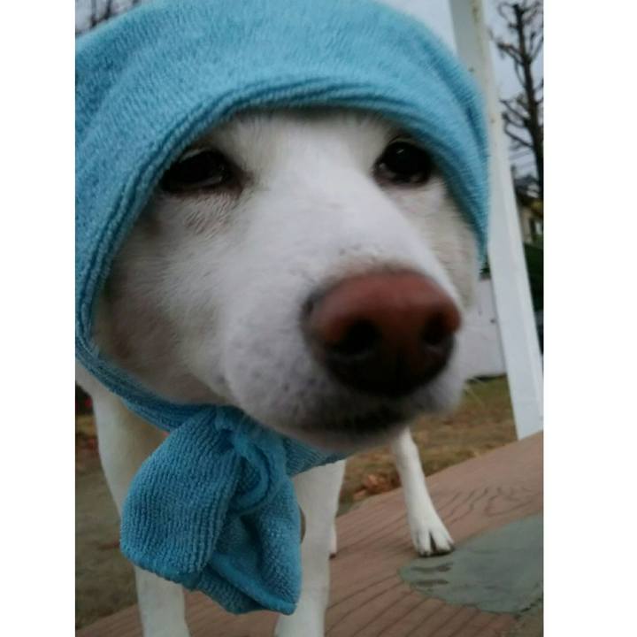 61fef335 1adc 4a25 a737 3145ae2bc535