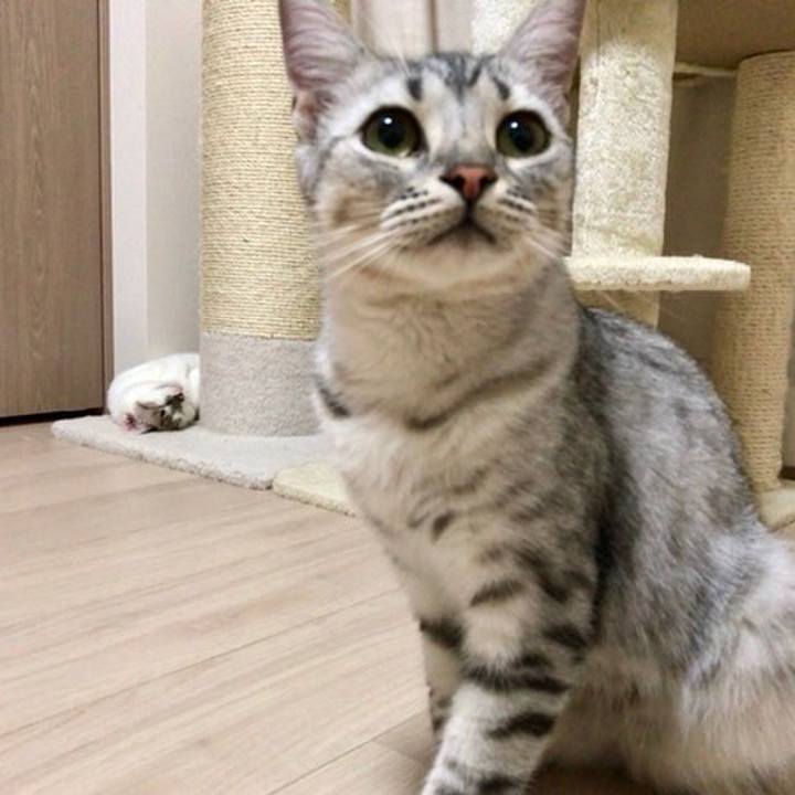 62001cb7 6dc0 41ca a65d 767012ac38d9