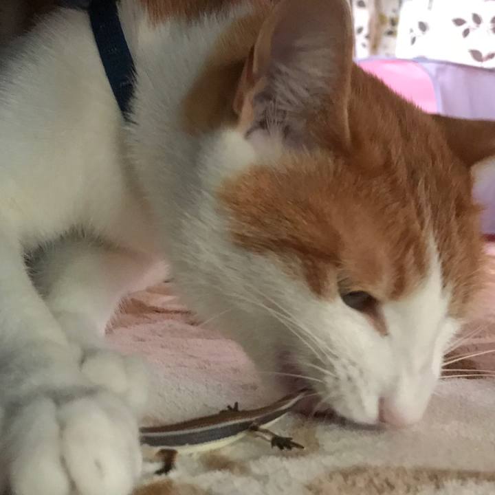 6200315b 1e54 43c0 ae38 293af4af67fb