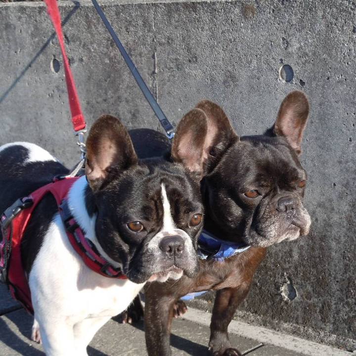 620082a1 c552 4202 a037 cc691948b428