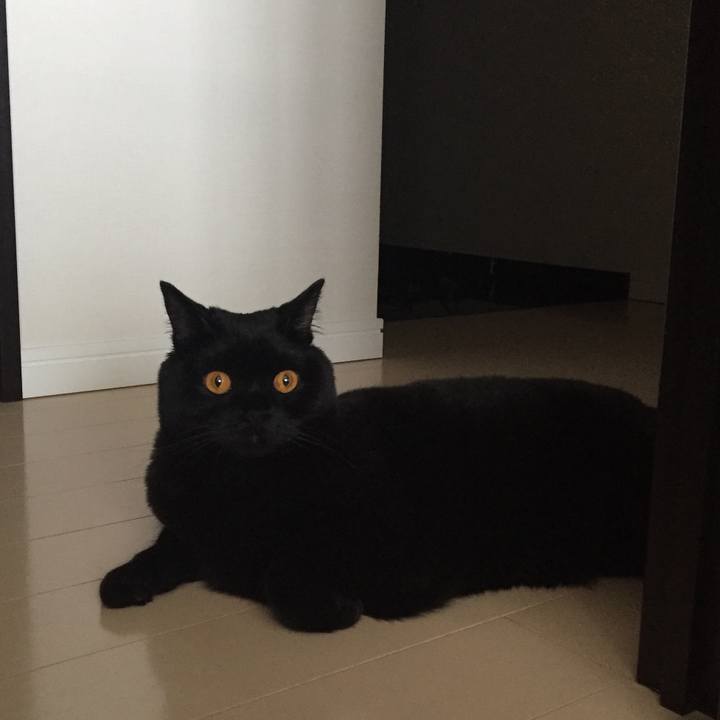 6200f021 cc6a 4bdf 8849 769460830e00