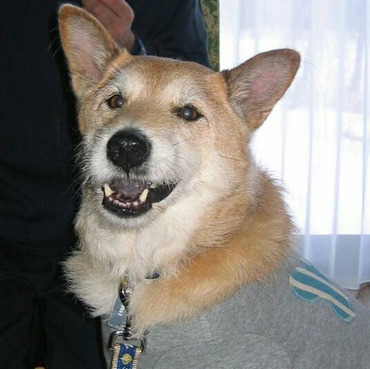 620112b2 d405 4376 a89e 2a328cea35ea