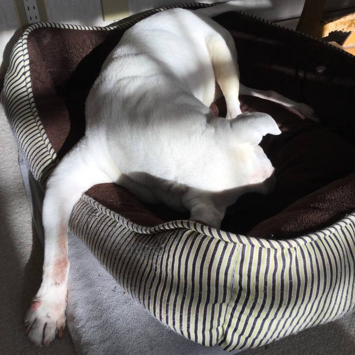 62014bc4 79b1 44d1 8d8d c19c8d310b28