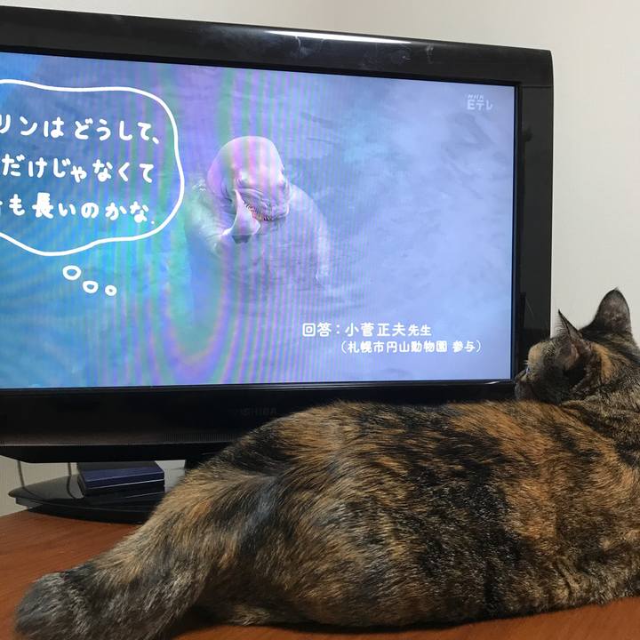 62015085 5084 4b17 92cf 0dcbd383e845