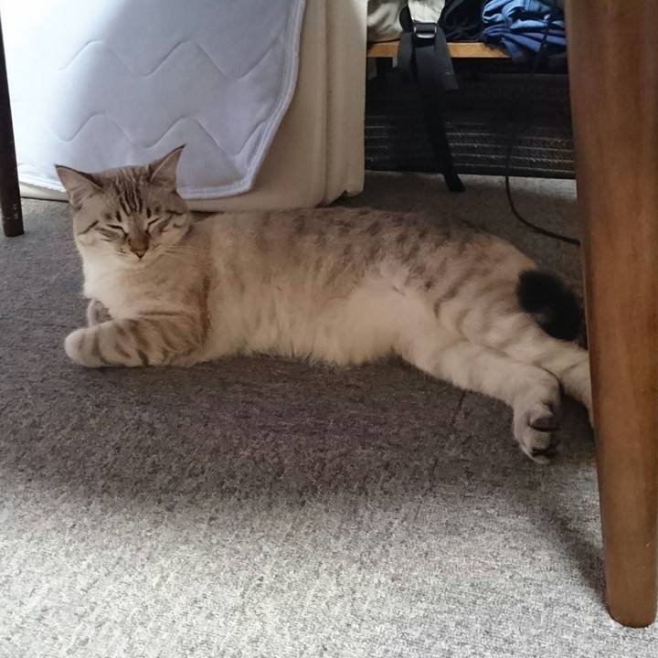 6203046c cfc1 4ed2 8164 d296555d8be3