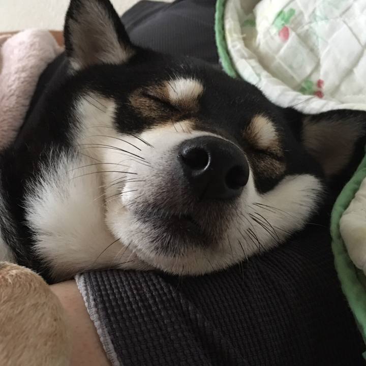 620319d0 f9b5 46fd 8e2d 733176065313