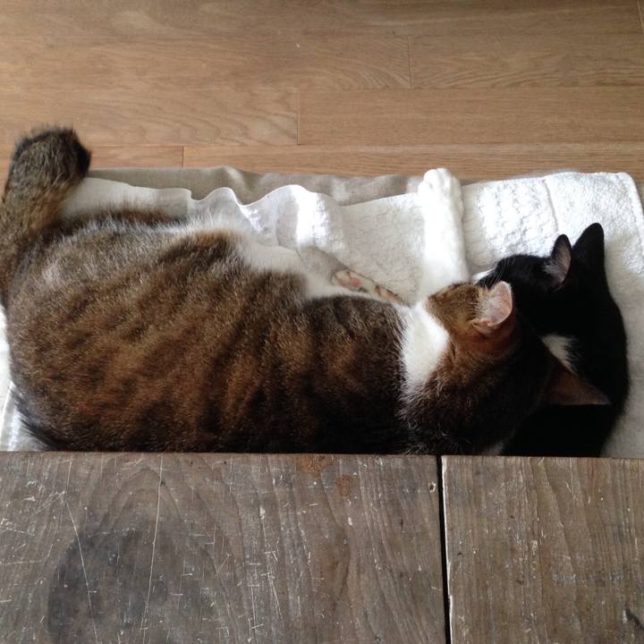 6203709b cfe8 42ed 8b40 f79c93c823e7