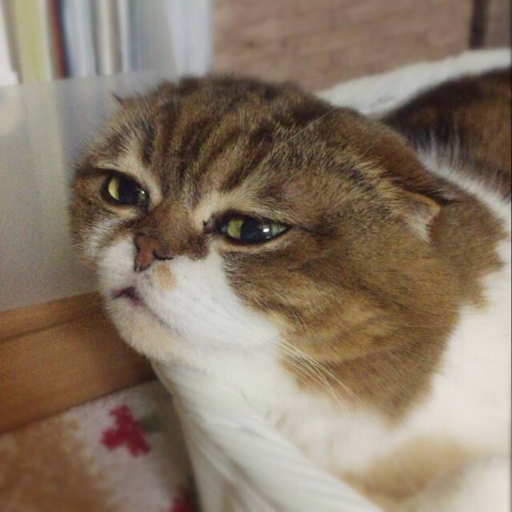 62044888 8eba 476d 9200 2b0952fdfce5