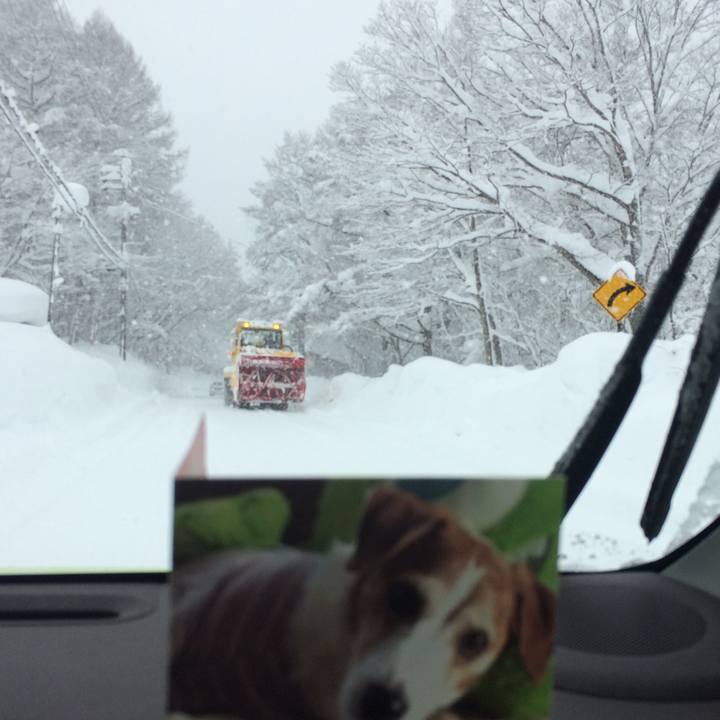 62044f06 72b2 4e2d 9263 d896a76e018e