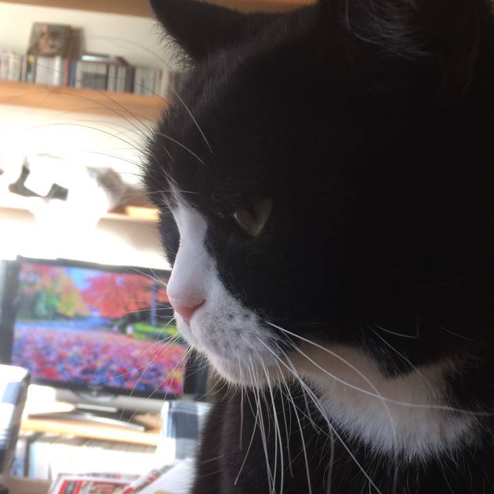 620465df 7c44 4cc3 a533 71d8d87d0fc4