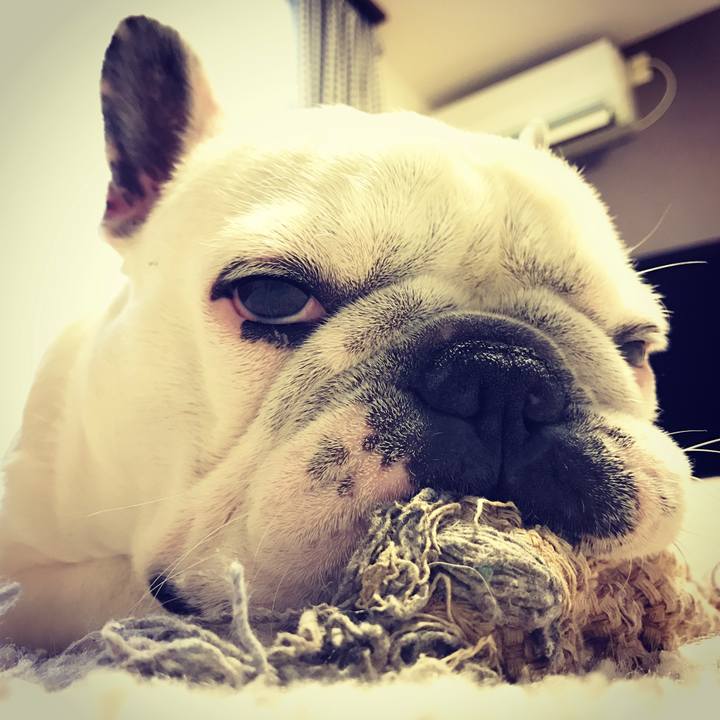 6205732b 2342 4312 a571 7bc7d8a69310