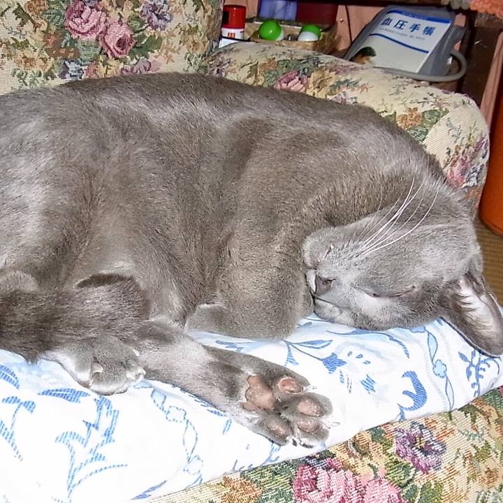 6205feb1 b042 4047 a690 a0d9652a8a73