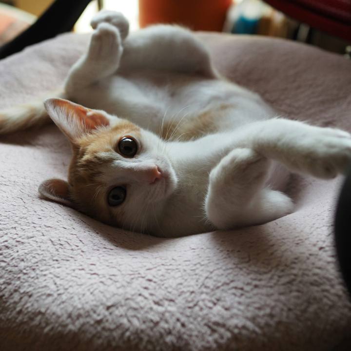 6206389c 91fb 40e5 8f81 71e09215d44e