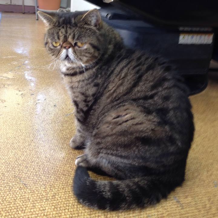 620674c4 62eb 481b b304 66cf3afd0bdc