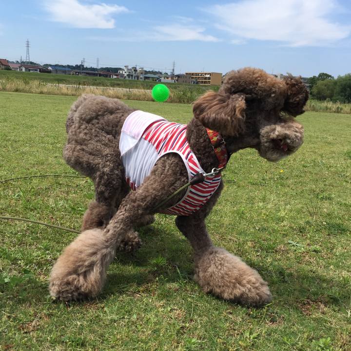 6206db66 d39d 499f aff3 d080a400d825