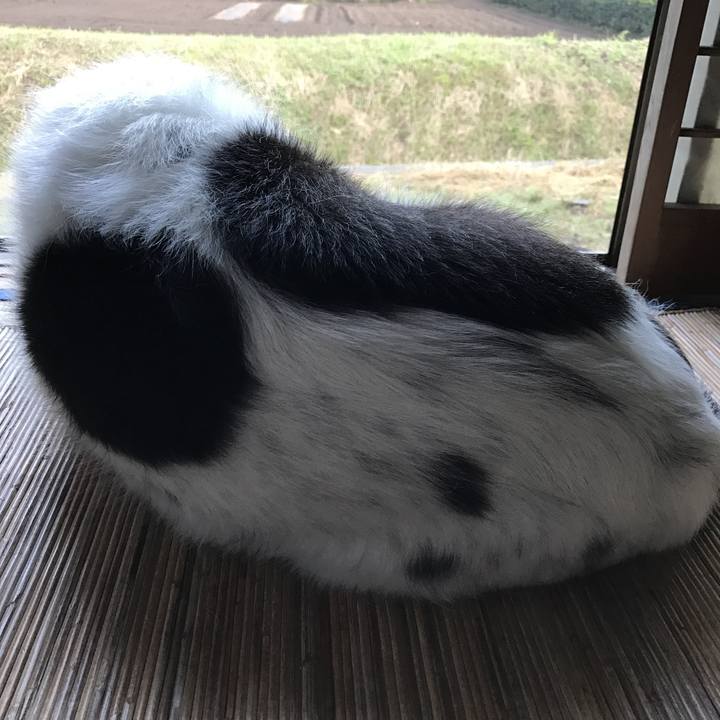 62073e18 8e6a 4930 bffa 5e487b8704b4