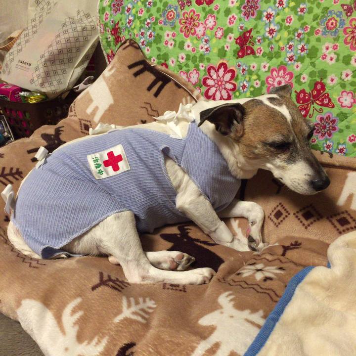 62076c91 8ece 4edf a846 f2bbea151f30