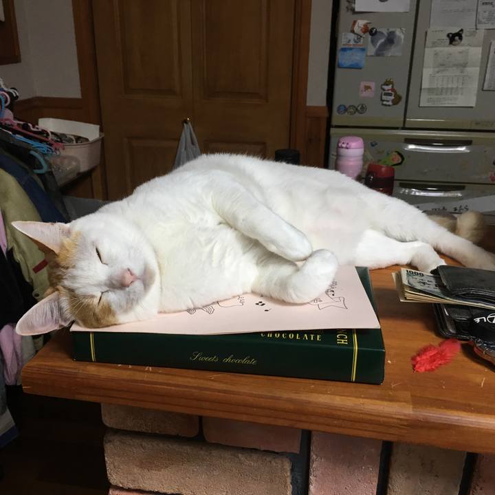 62081f38 36a5 47d4 ae8f 5ba6182e09f1