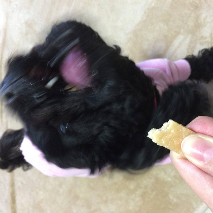 62085643 0613 4488 95da d7bb62983f02