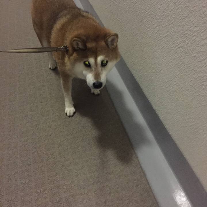 620911a3 2b7f 42b2 85d4 4e912b93bfb1