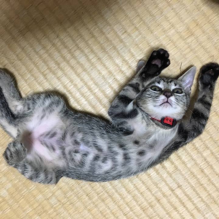 620964bf 2728 4d8a af4e ec65a1932144