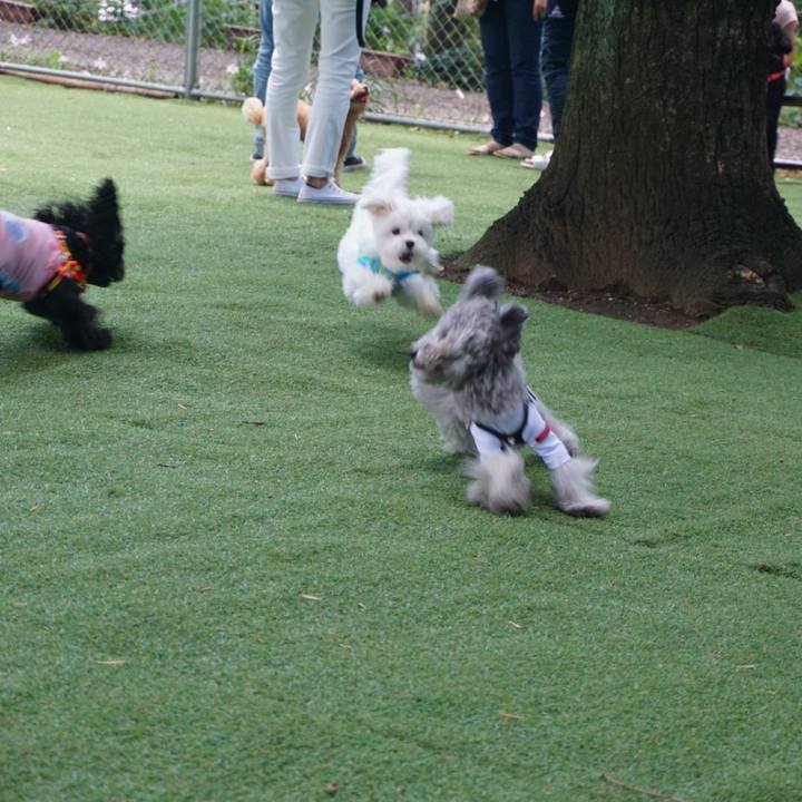 620966d2 7dc9 46df 95b5 f937a60a4e4a