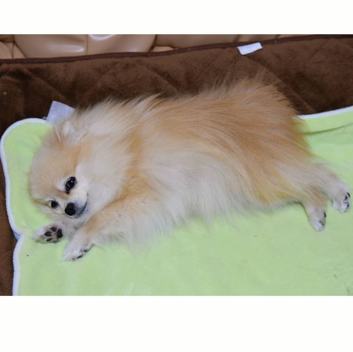 6209dde7 04a2 46e6 8efa 75ff4f07699f