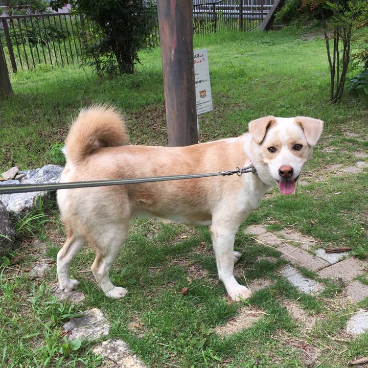 620b443c a9f8 4426 85d9 217e58db22d6