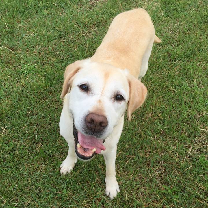 620b5526 a298 43e0 b677 67ecc91157dc