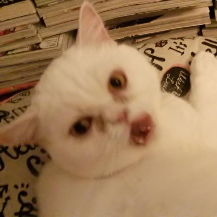 620bb0f5 6b34 4c10 8065 b559311c967d