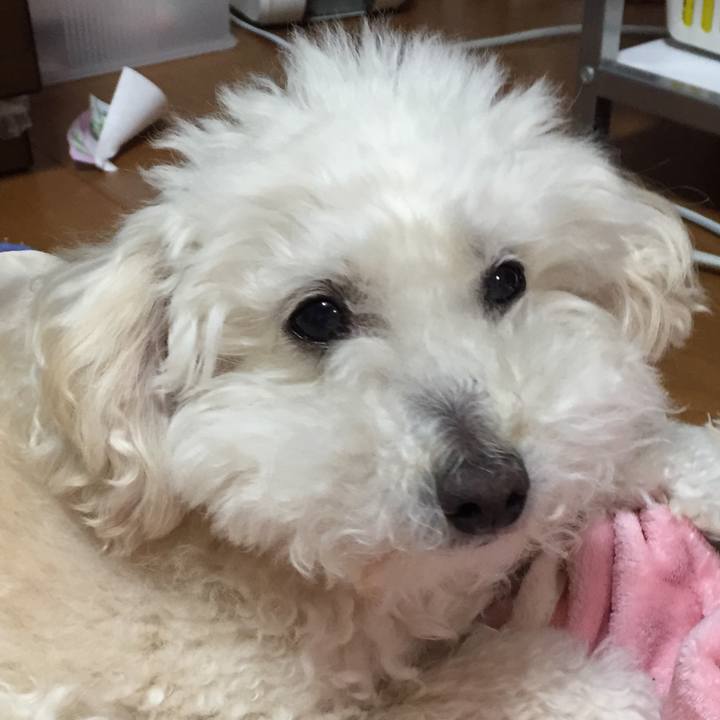 620ca91f 72a0 4047 bfb9 32c6c1d2cd39