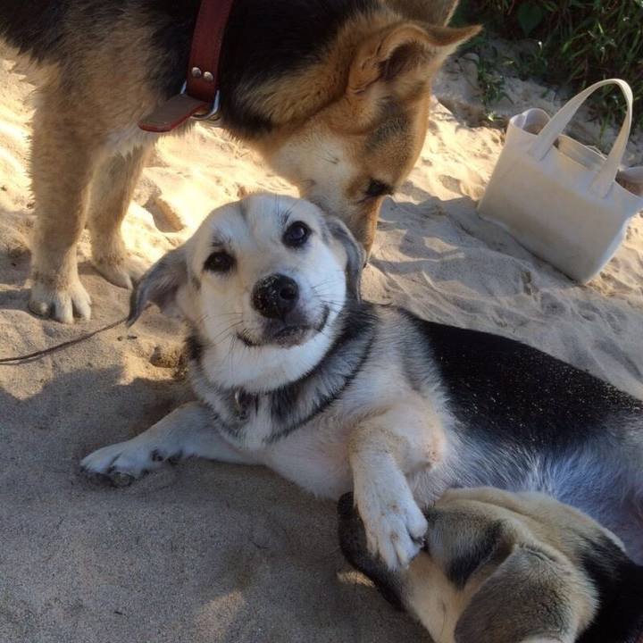 620cba23 8d66 49de 85be 593a0623f21e