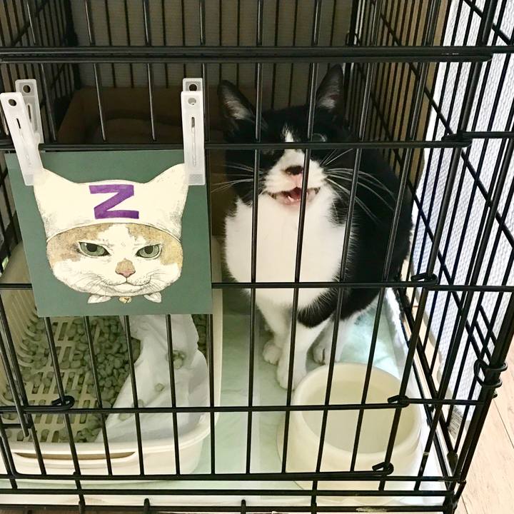 620cfc02 05a5 491e aa1d 4a805ff4fb56