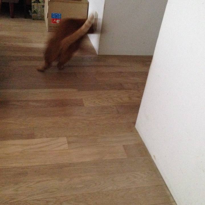 620da7c0 ea87 43df 866d 04e4db9ea5e9