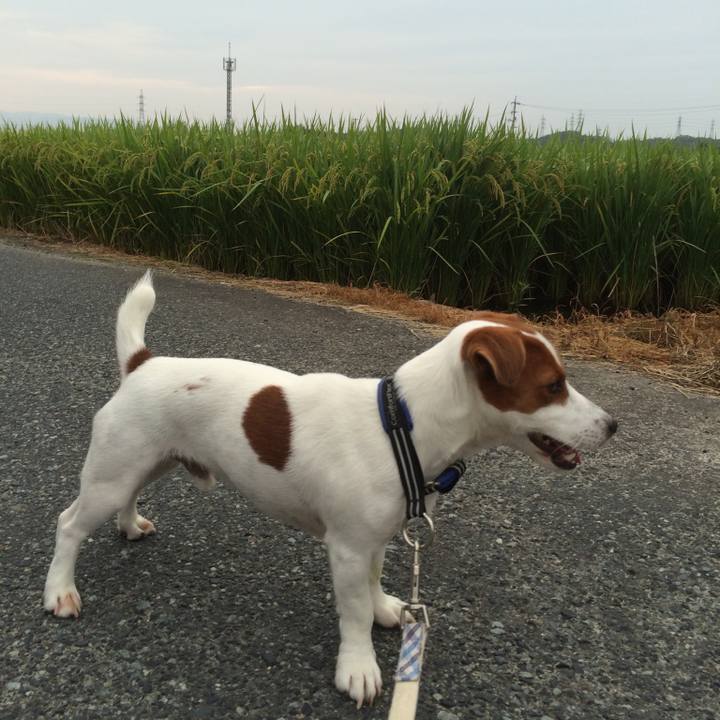 620df23d f66d 4788 9c34 c3d9ff84e7bc