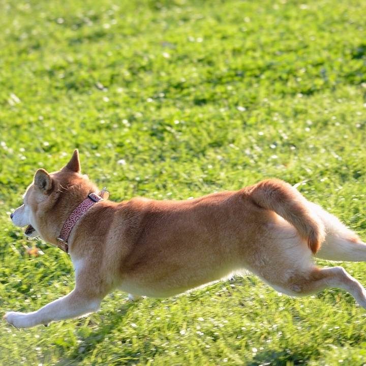 620e3495 479f 47b0 b31c 14133174a993