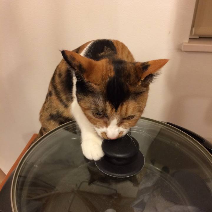 620e9210 2077 47d7 a7be 6071588d775a