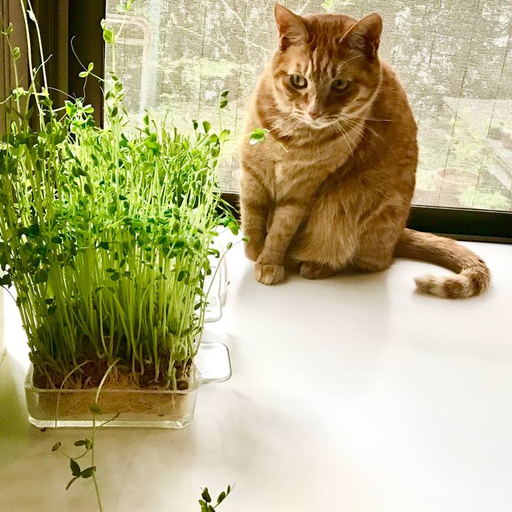 620ec503 5817 44b7 97fb b0e969f30a8e