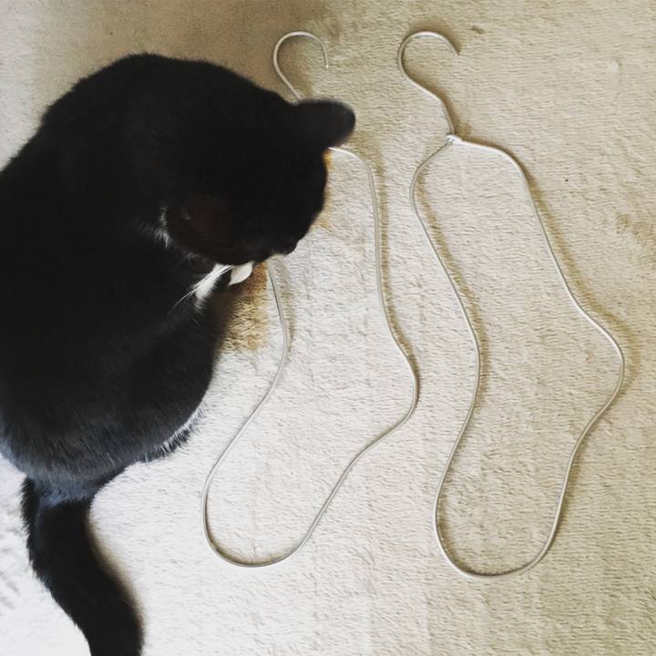 620ee99d 7e3a 4a12 a53d 7e976bfdf08d