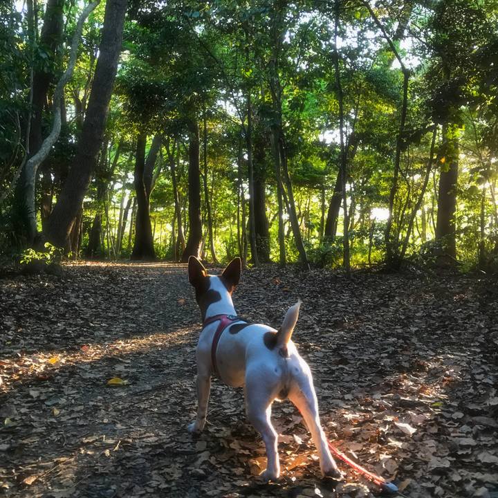 620eecf2 3643 427d 8e2f f9da88c46f40