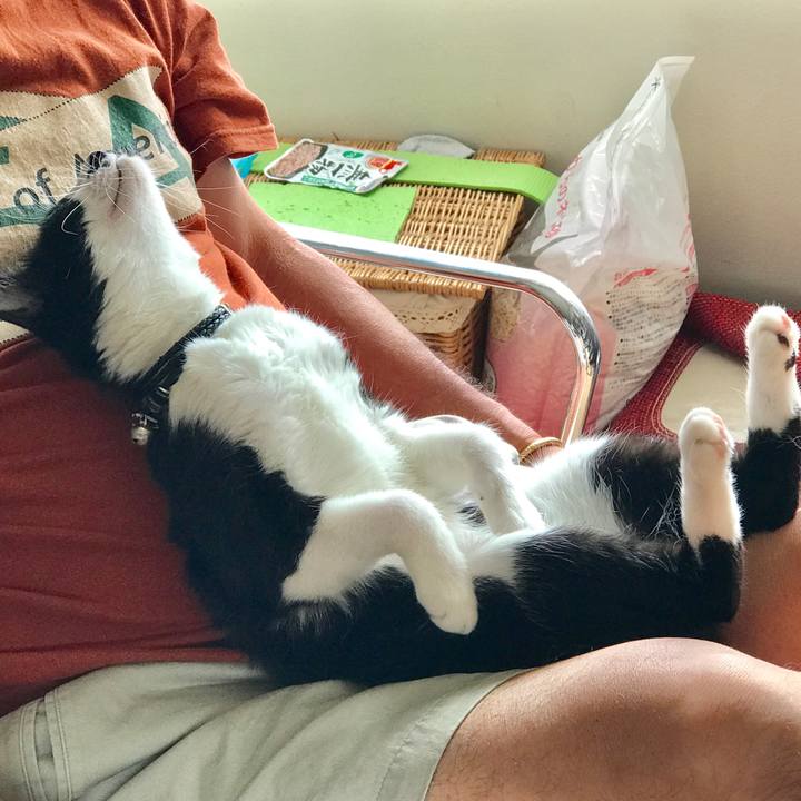 620f039a de93 4427 89dd 70225e5faa50