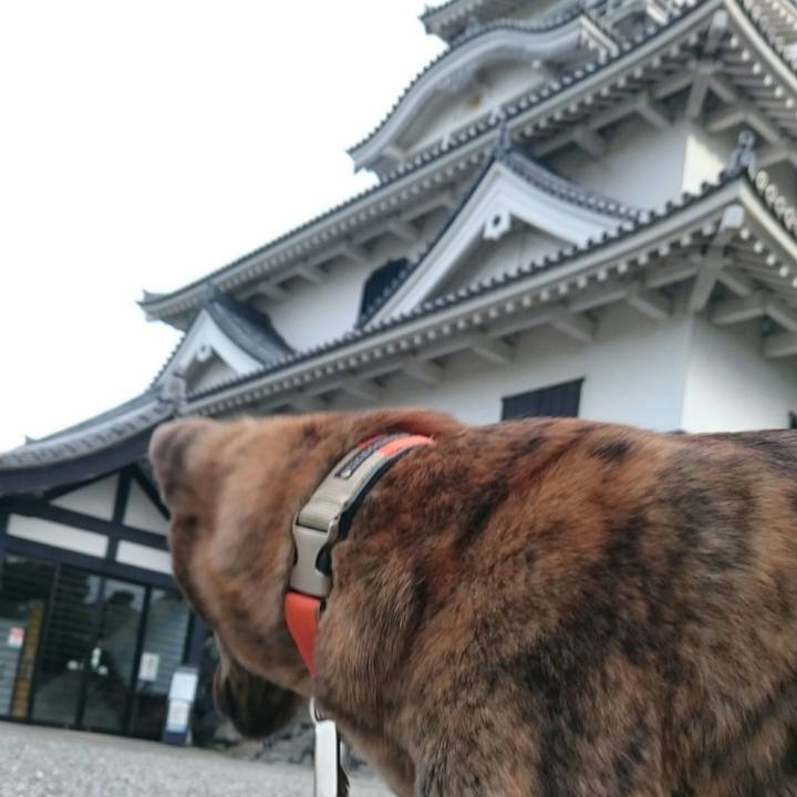 620fc866 4bc3 4f90 af4a b5342eaf0d6f