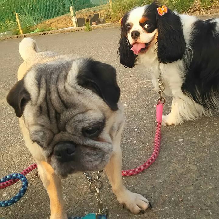 6211145b 58cf 4300 9e78 f9c6a5131392