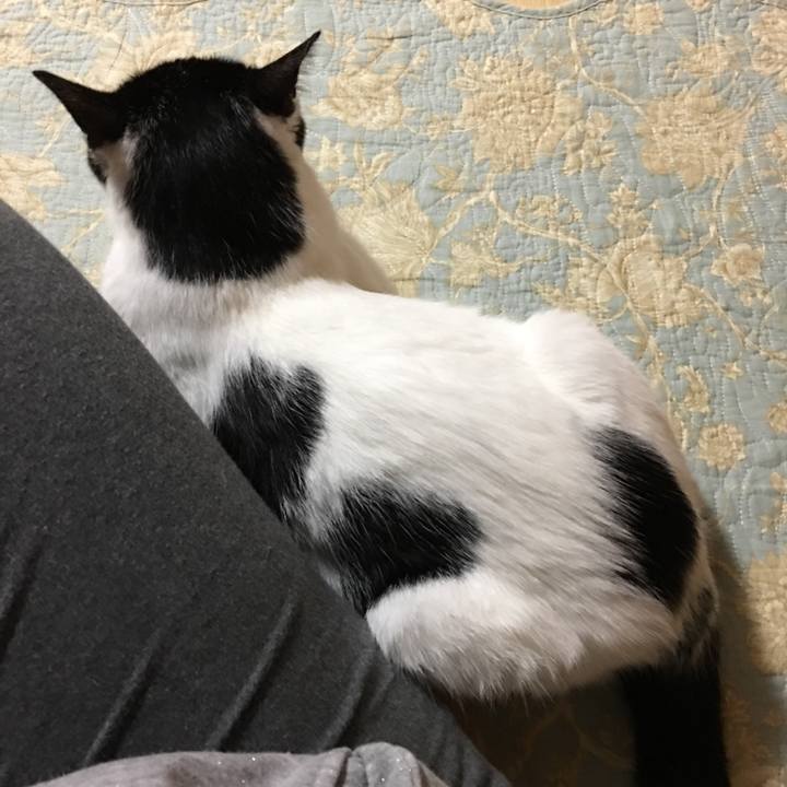 621167cb 0478 44cc 825f f3ca7958e95d