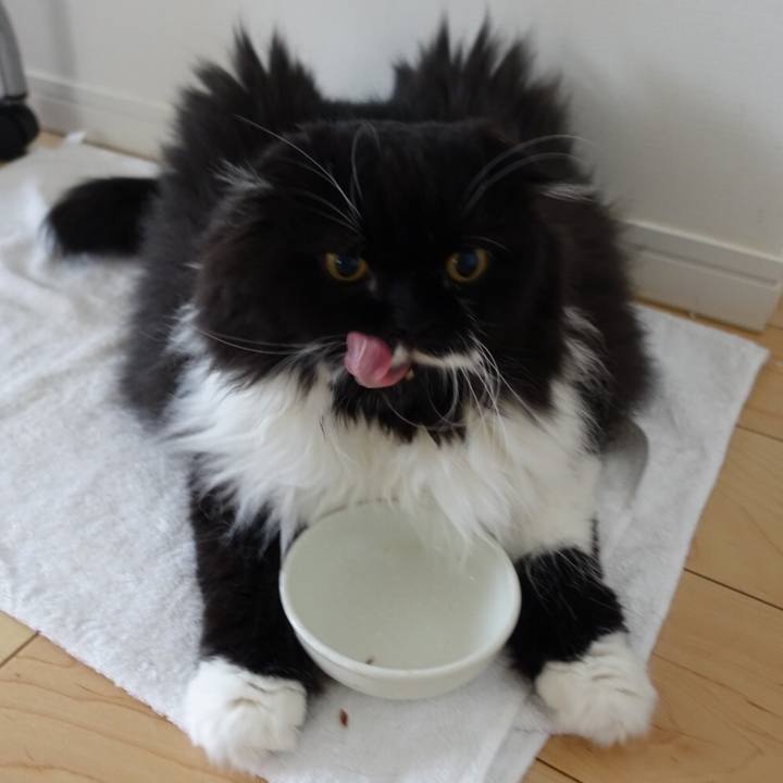 6211dcc2 539a 4ba5 949f 2b32b0d1a089