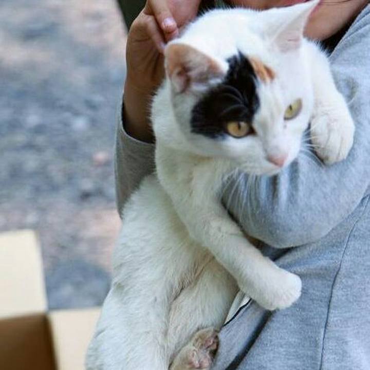 621282a9 b3f1 4272 9eb9 07882dbb8c7d